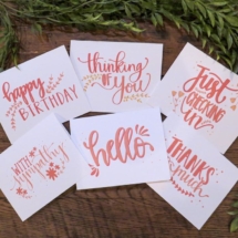 Variety Pack Variety Pack